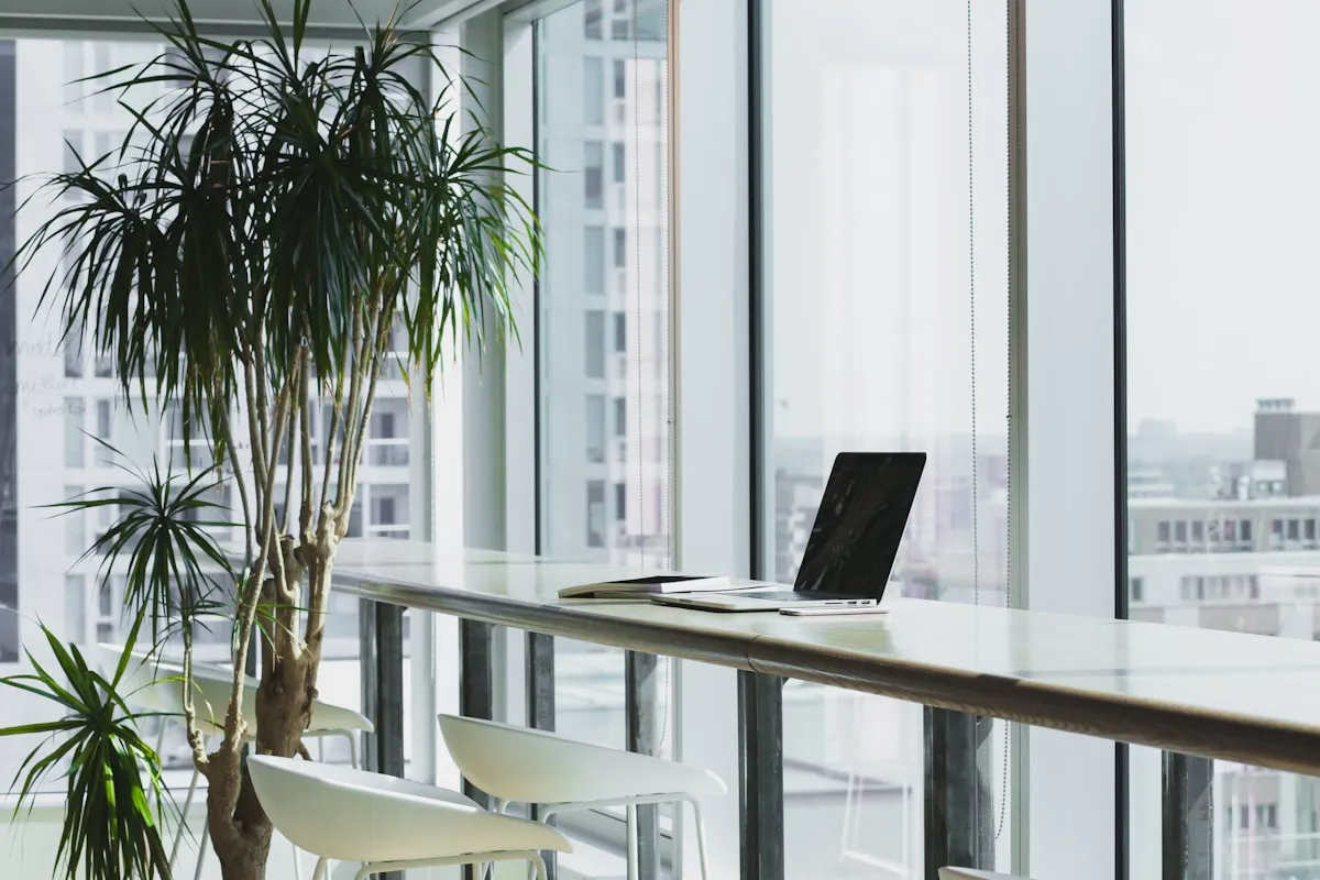 Rebranding a 20-Year-Old Accounting Firm for the Modern Era